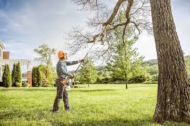 Best Tree Removal  in Memphis, MO